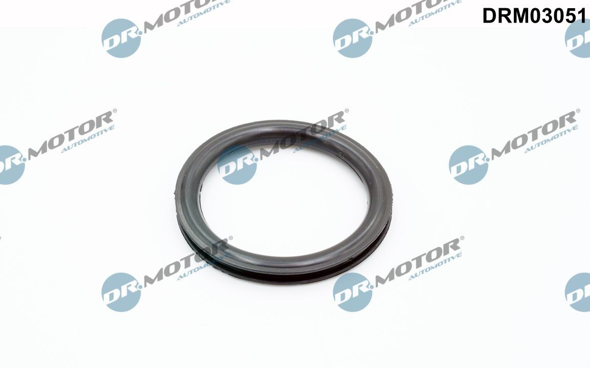 DR.MOTOR AUTOMOTIVE Seal, fuel tank cap Article number: DRM03051 cheaply