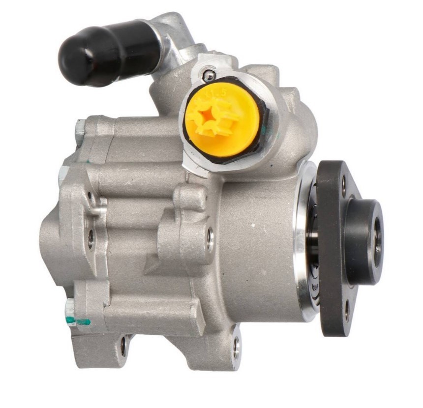 PROCARO Power steering pump Article number: 11-AU-200 cheaply