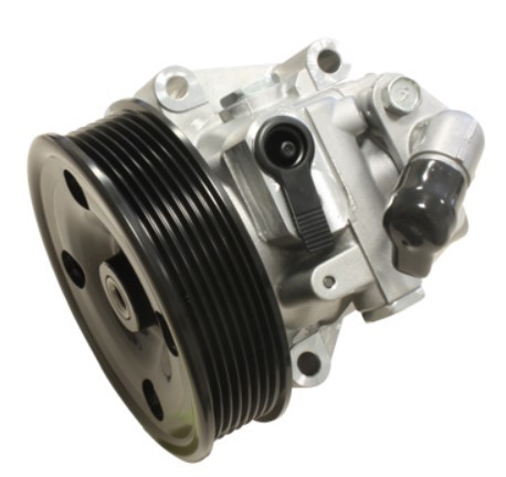 PROCARO Power steering pump Article number: 11-FO-710 cheaply