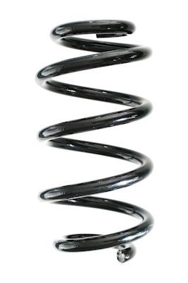 SPIDAN Coil spring Article number: GKNW10250 cheaply