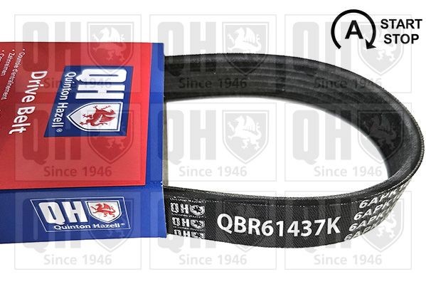 QUINTON HAZELL Serpentine belt Article number: QBR61437K cheaply