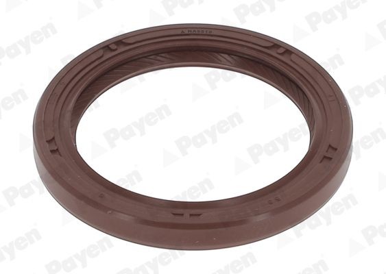 PAYEN Crankshaft seal Article number: NA5510 cheaply