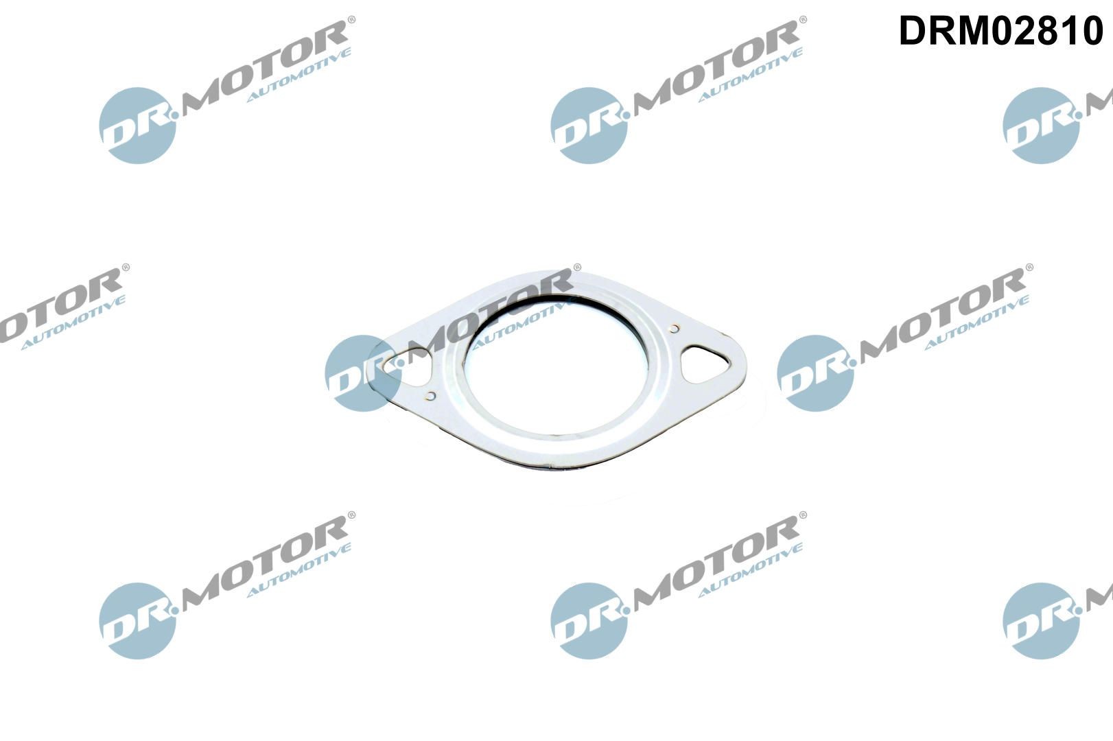 DR.MOTOR AUTOMOTIVE Gasket, EGR valve pipe Article number: DRM02810 cheaply