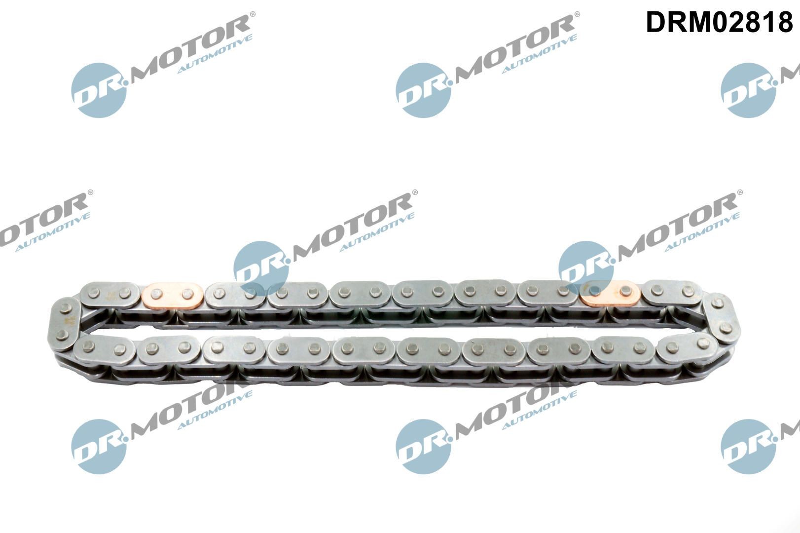 DR.MOTOR AUTOMOTIVE Chain Tensioner, timing chain Article number: DRM02819 cheaply