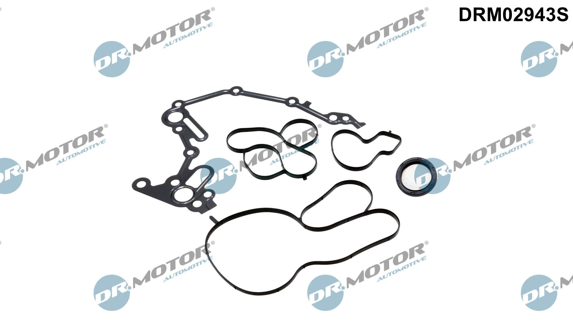 DR.MOTOR AUTOMOTIVE Crankcase gasket set Article number: DRM02943S cheaply