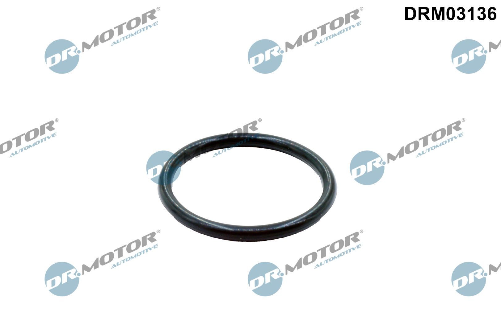 DR.MOTOR AUTOMOTIVE Seal, coolant tube Article number: DRM03136 cheaply