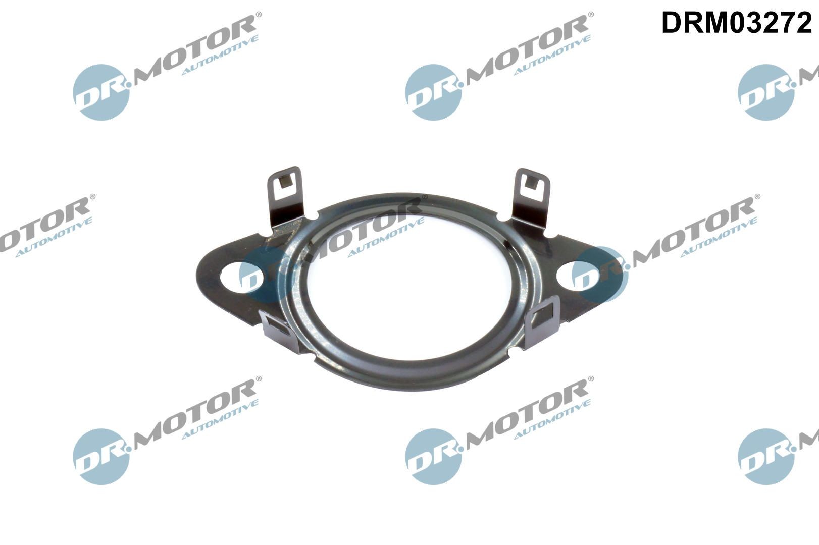 DR.MOTOR AUTOMOTIVE Tihend, ühendus EGR-klapp Artikli number: DRM03272 soodsalt