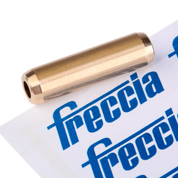 FRECCIA G11238 Valve Guides SCÉNIC 1.6 (JA00, JA16, JA15, JA19, JA1V, JA2B, JA2C, JA0B,... 107 PS Petrol 2003