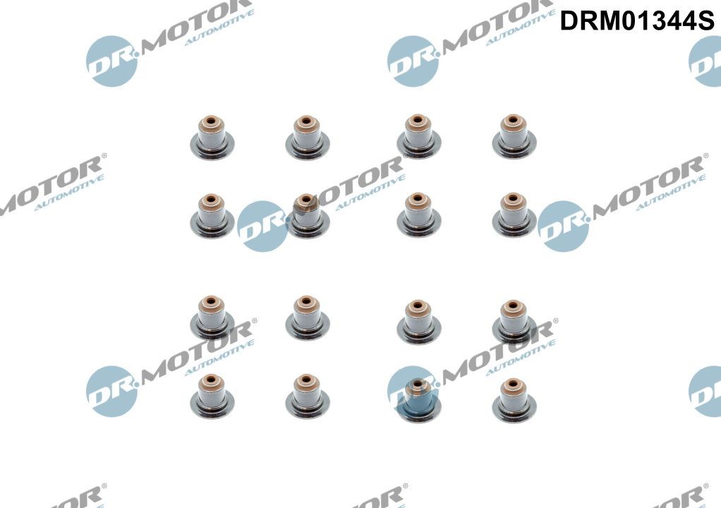 DR.MOTOR AUTOMOTIVE Seal Set, valve stem Article number: DRM01344S cheaply