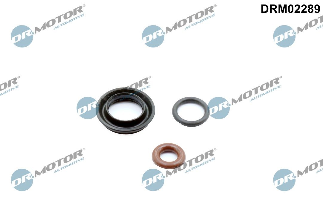 DR.MOTOR AUTOMOTIVE Seal Kit, injector nozzle Article number: DRM02289 cheaply