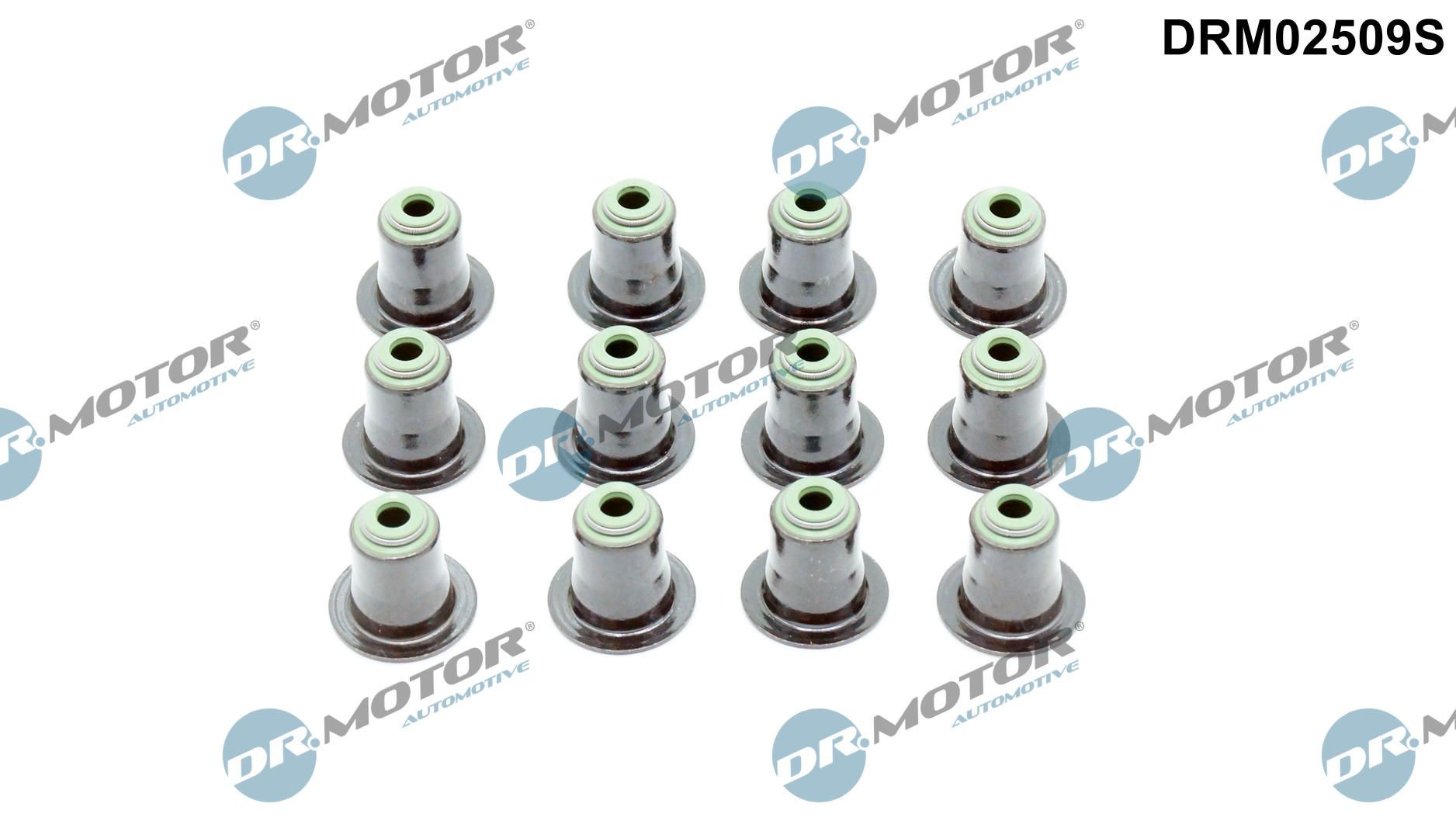 DR.MOTOR AUTOMOTIVE Seal Set, valve stem Article number: DRM02509S cheaply