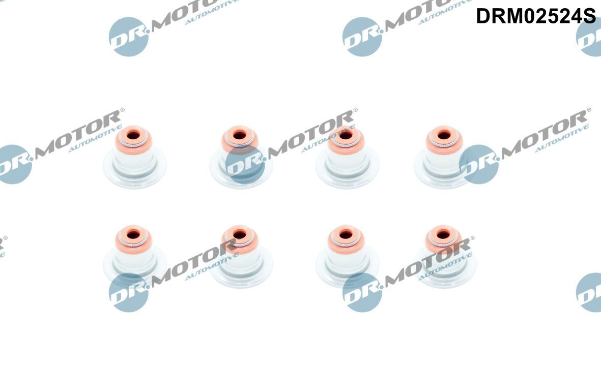 DR.MOTOR AUTOMOTIVE Seal Set, valve stem Article number: DRM02524S cheaply