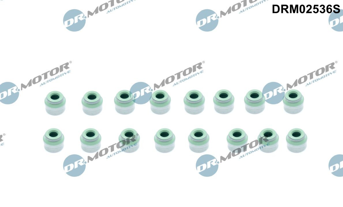 DR.MOTOR AUTOMOTIVE Seal Set, valve stem Article number: DRM02536S cheaply