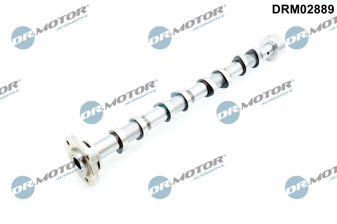 DR.MOTOR AUTOMOTIVE Nukkvõll Artikli number: DRM02889 soodsalt