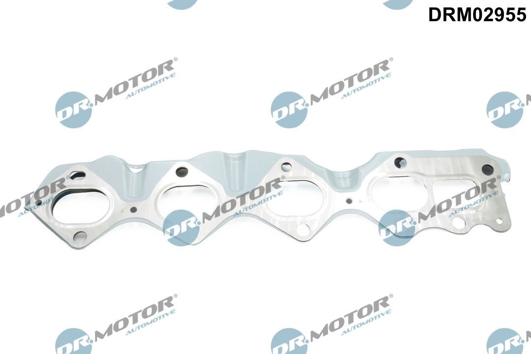 DR.MOTOR AUTOMOTIVE Tarpiklis, išleidimo kolektorius prekės numeris: DRM02955 nebrangu