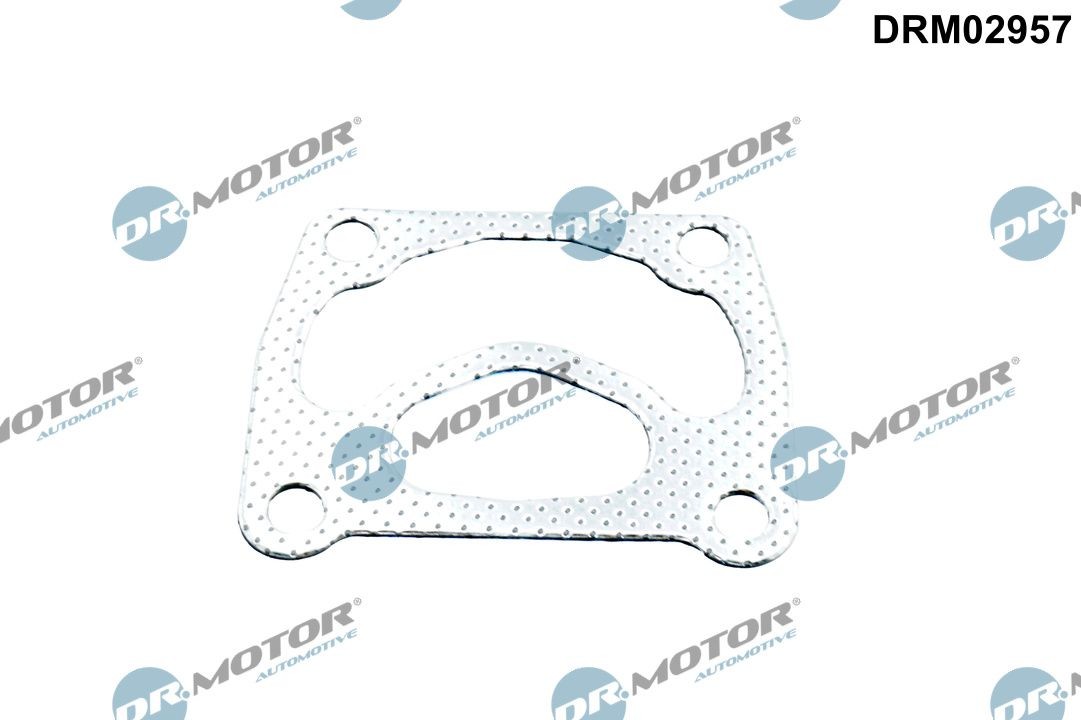 DR.MOTOR AUTOMOTIVE Pakning turbo Varenummer: DRM02957 billige