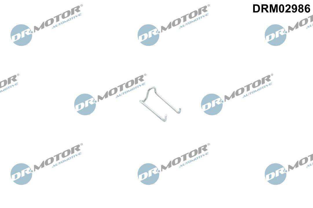 DR.MOTOR AUTOMOTIVE Retaining Spring Article number: DRM02986 cheaply