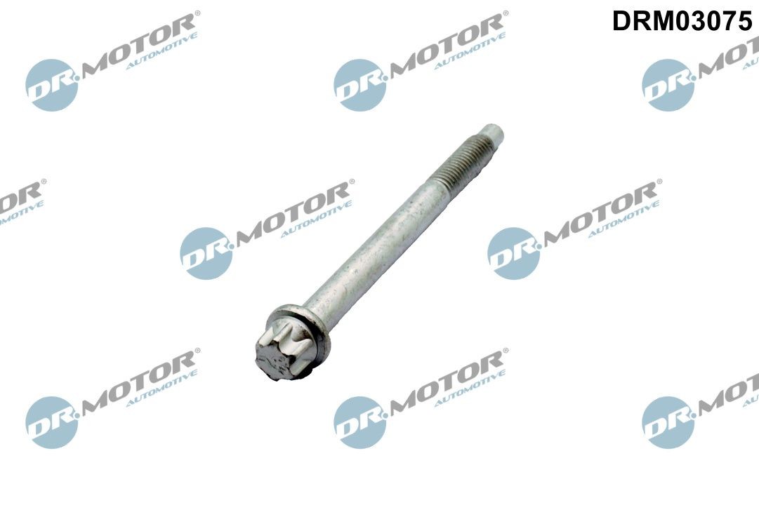 DR.MOTOR AUTOMOTIVE Screw, injection nozzle holder Article number: DRM03075 cheaply