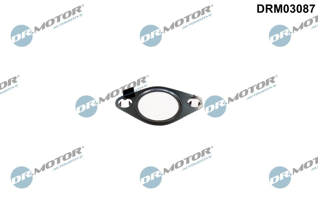 DR.MOTOR AUTOMOTIVE Seal, EGR valve Article number: DRM03087 cheaply