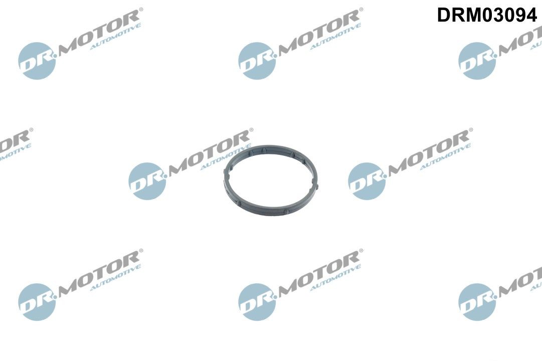 DR.MOTOR AUTOMOTIVE Thermostat housing gasket Article number: DRM03094 cheaply