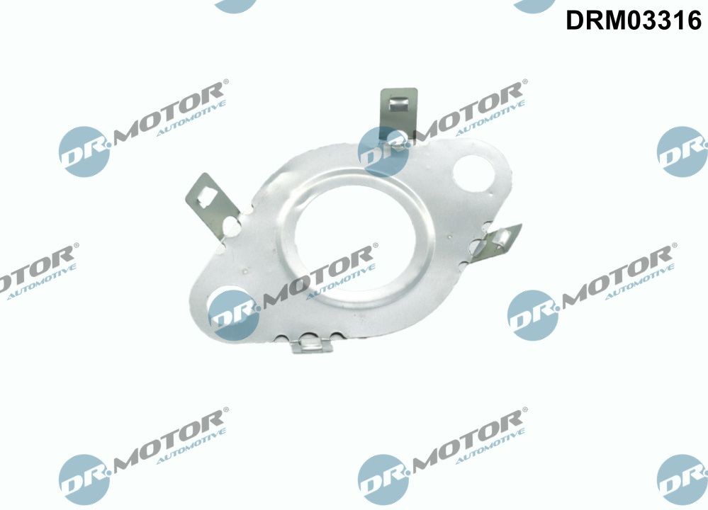DR.MOTOR AUTOMOTIVE Gasket, EGR valve pipe Article number: DRM03316 cheaply