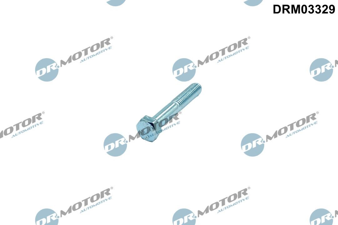 DR.MOTOR AUTOMOTIVE DRM03329 Kruvi, sissepritsedüüsi kinnitus PASSAT 1.9 TDI Syncro/4motion 110 HP Diisel 2001