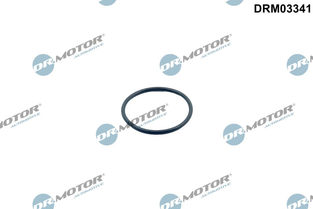 DR.MOTOR AUTOMOTIVE Gasket, thermostat Article number: DRM03341 cheaply