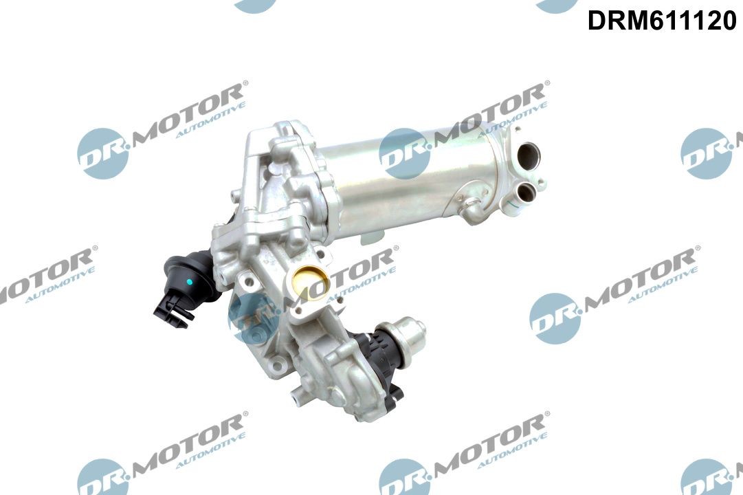 DR.MOTOR AUTOMOTIVE EGR-klapp Artikli number: DRM611120 soodsalt