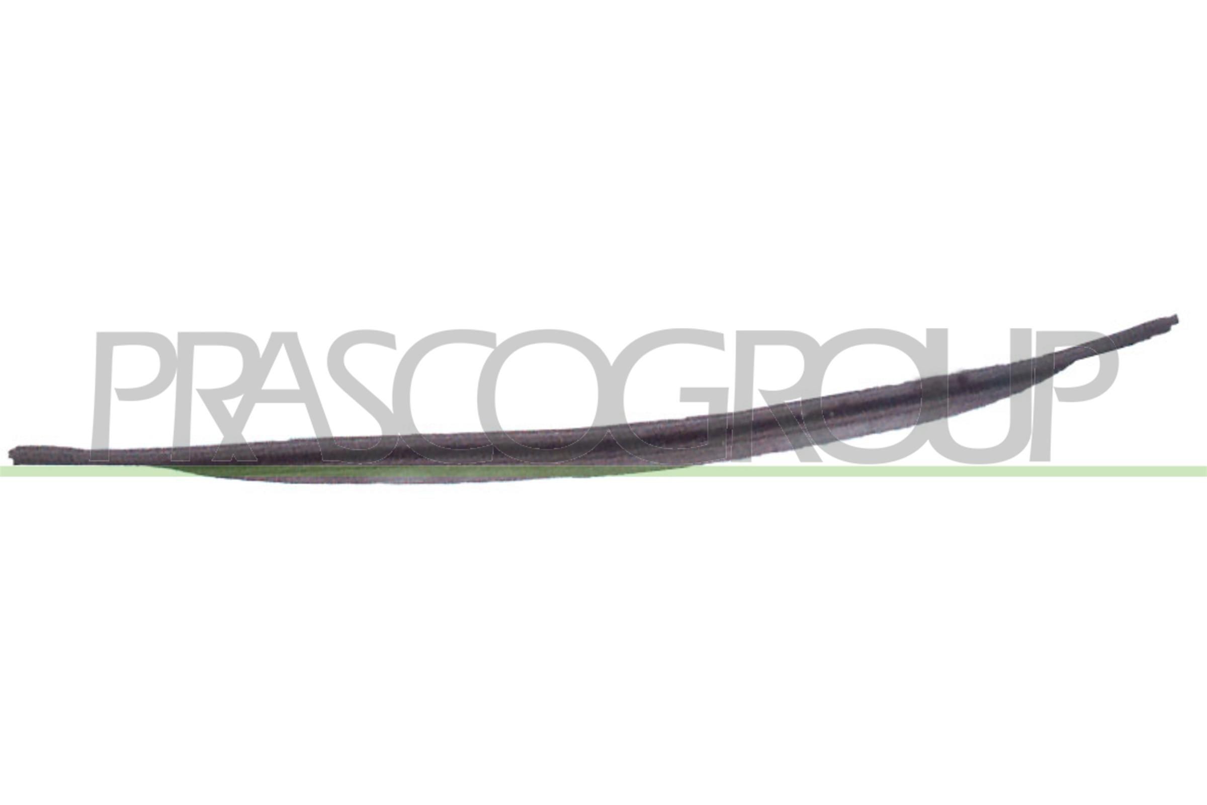 PRASCO Front splitter Article number: BM0441801 cheaply