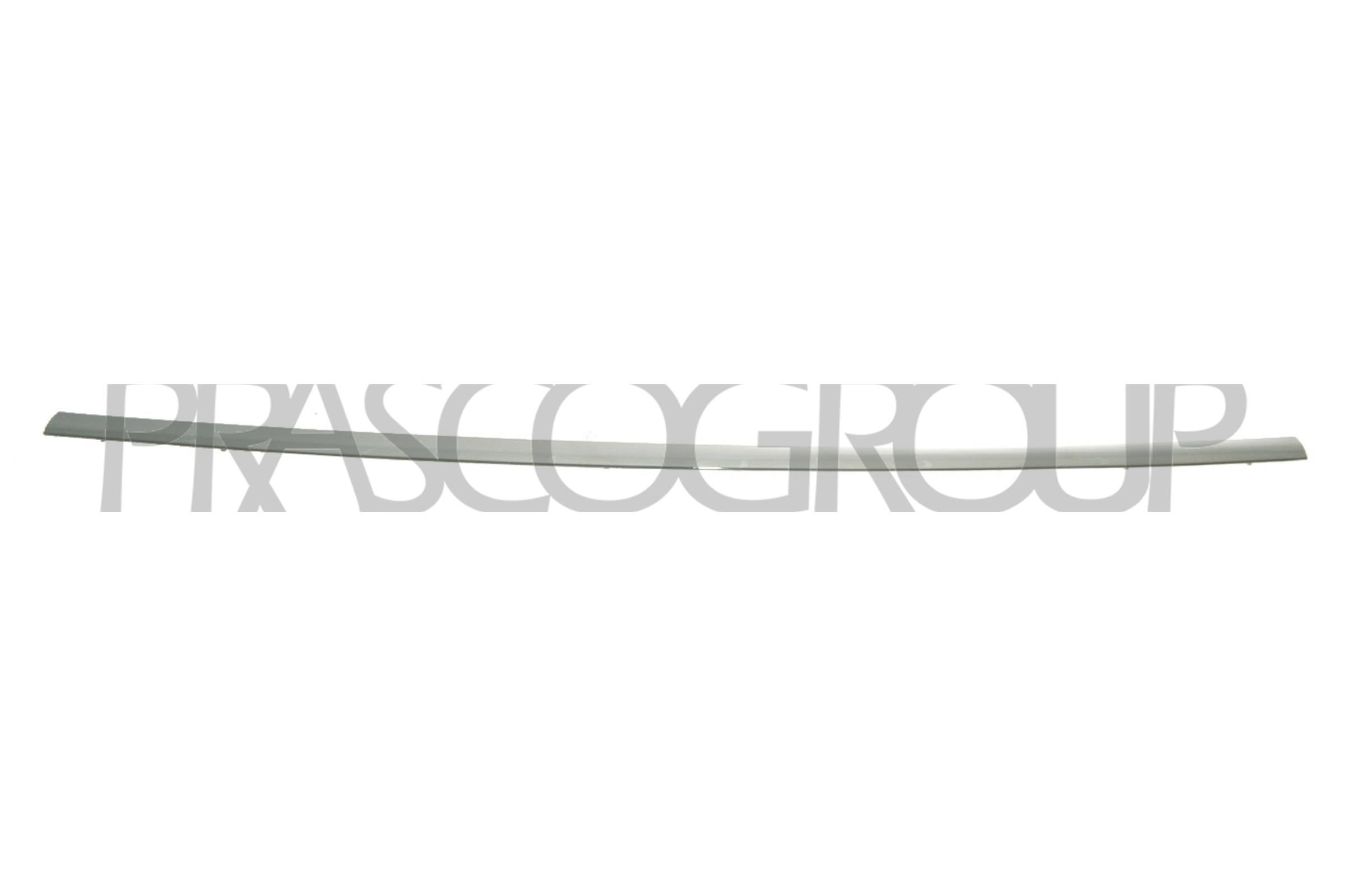 PRASCO Bumper moulding Article number: ME0251255 cheaply