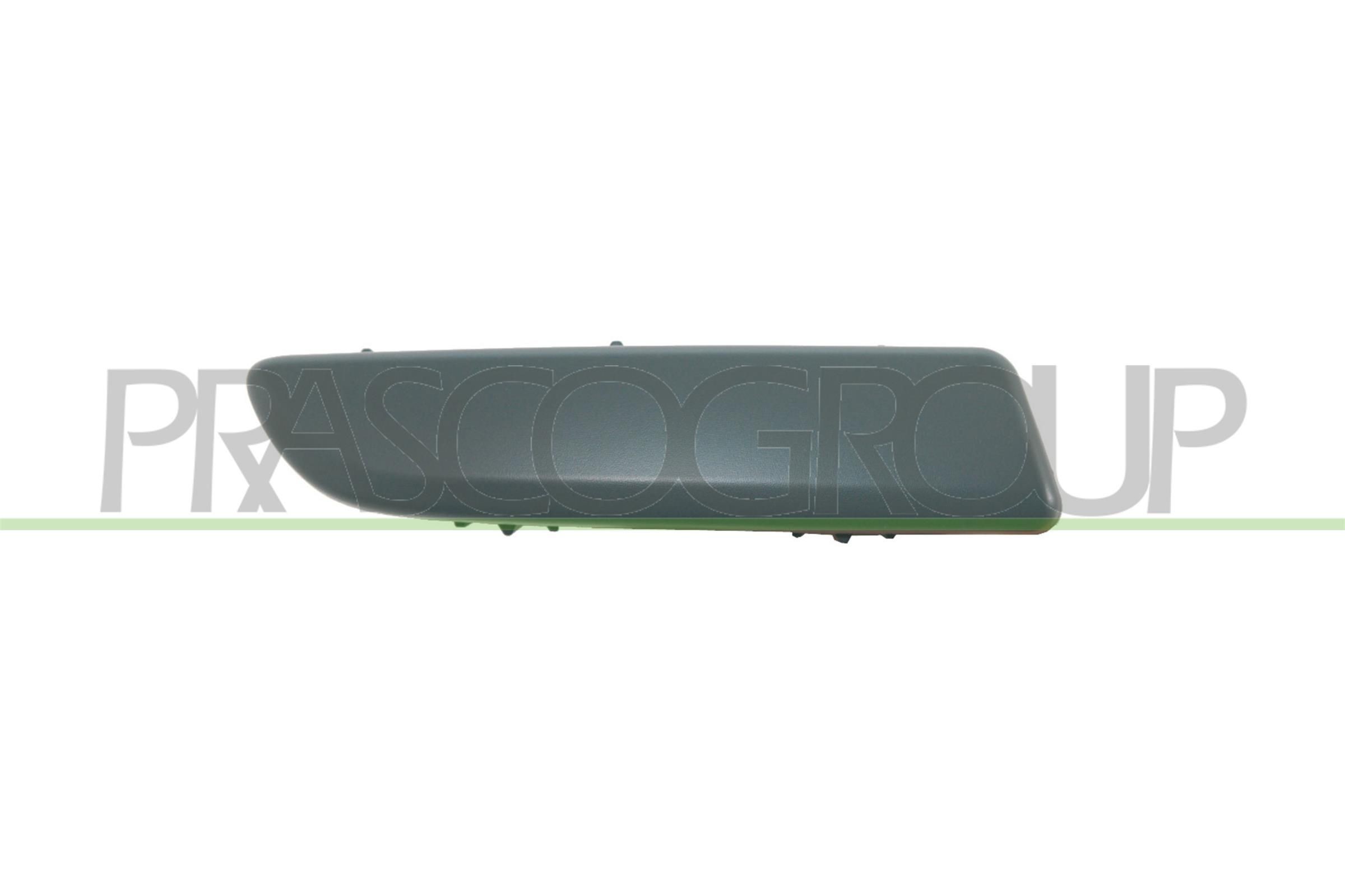 PRASCO RN3081253 Ehis- / kaitseliist, Põrkeraud MODUS 1.5 dCi 86 HP Diisel