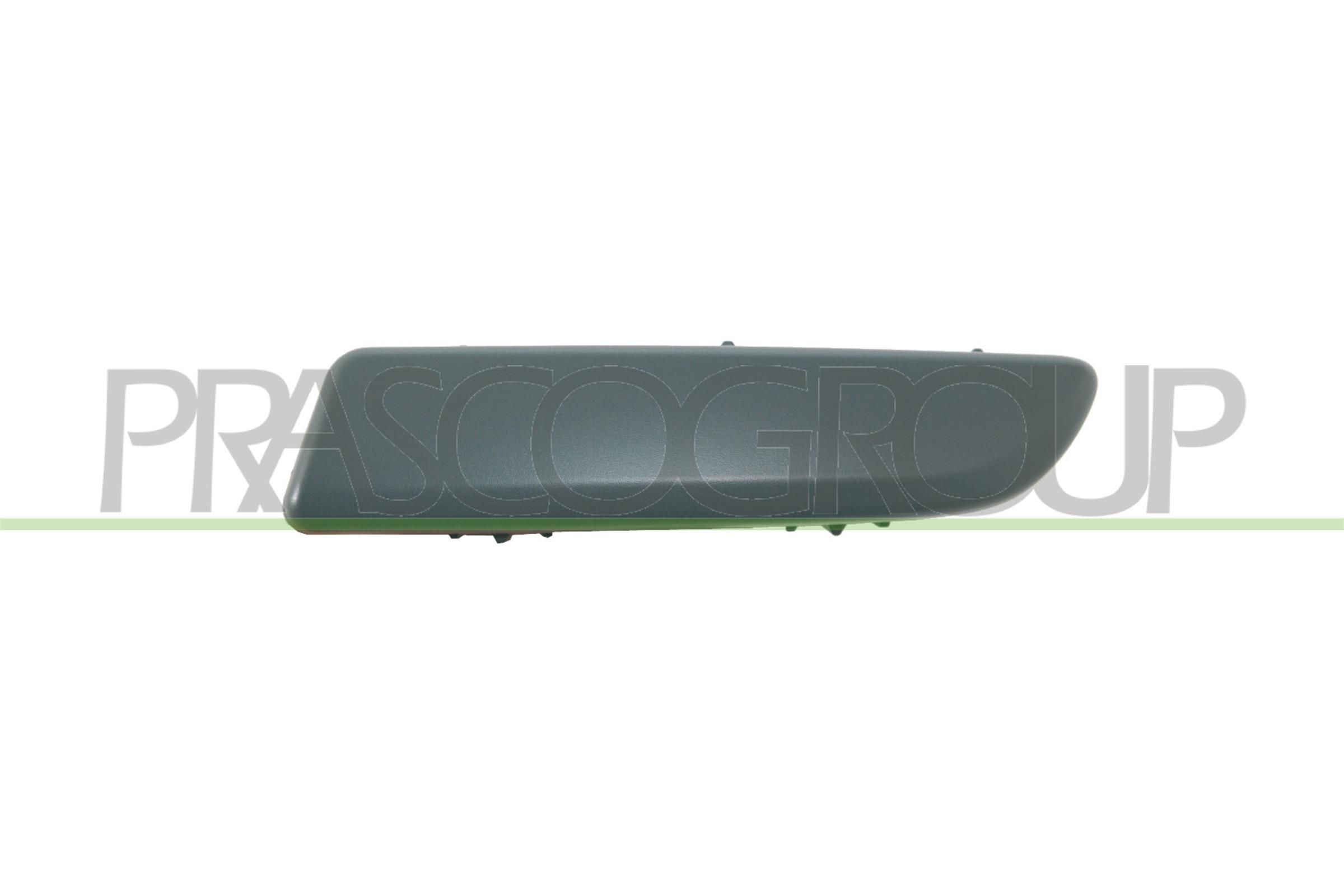PRASCO RN3081254 Ehis- / kaitseliist, Põrkeraud MODUS 1.5 dCi 86 HP Diisel