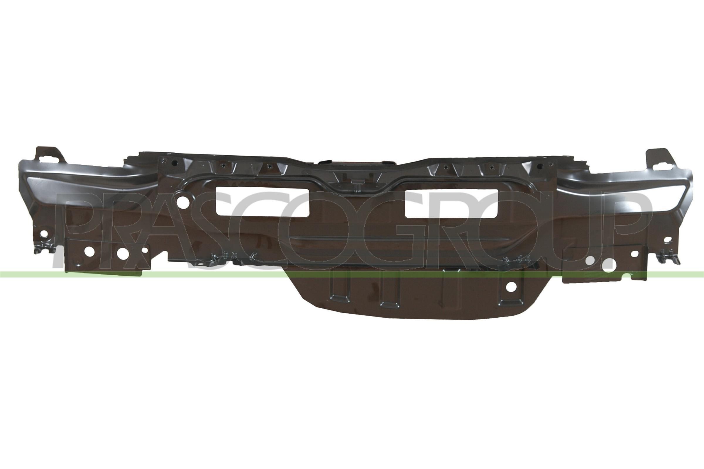 PRASCO RN3203250 Bagpanel CLIO 1.4 (B/CB0C, B/CB0S) 75 HK Benzin 2016