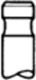 TRW Engine Component Exhaust valve Article number: 171016 cheaply