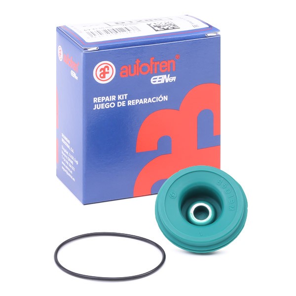 AUTOFREN SEINSA Remondikomplekt, peapidurisilinder Artikli number: D1286 soodsalt