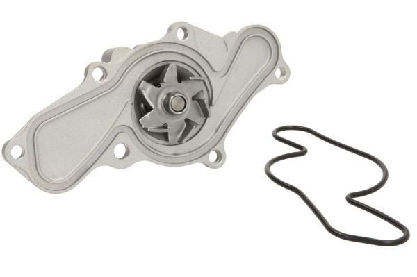 THERMOTEC Vandpumpe Varenummer: D13025TT billige