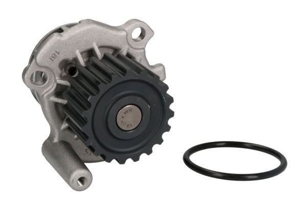THERMOTEC Water pump Article number: D1A024TT cheaply
