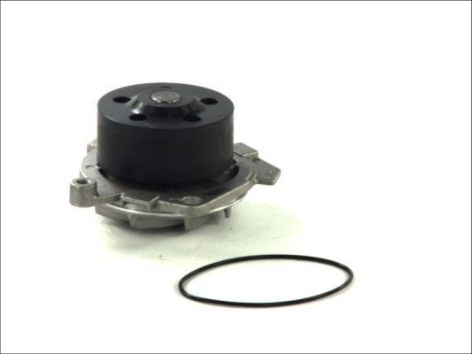 THERMOTEC Water pump Article number: D1D019TT cheaply