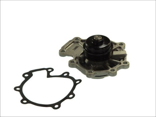 THERMOTEC Water pump Article number: D1G015TT cheaply