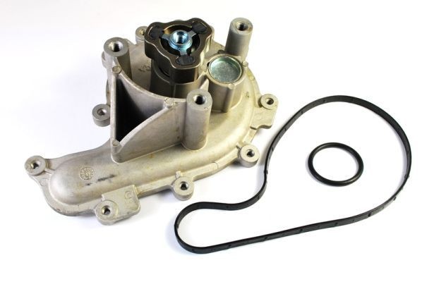 THERMOTEC Water pump Article number: D1P041TT cheaply