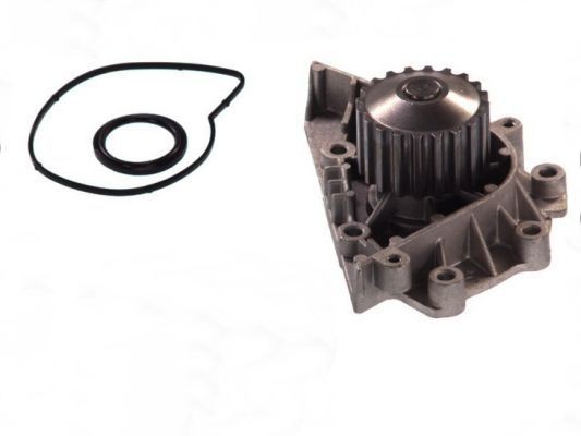 THERMOTEC Vandpumpe Varenummer: D1P042TT billige