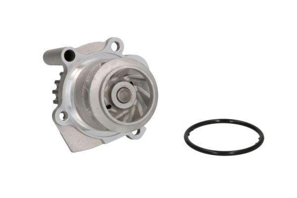 THERMOTEC Vandpumpe Varenummer: D1W037TT billige