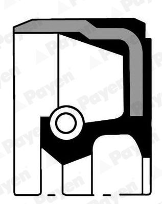 PAYEN Crankshaft seal Article number: NA5181 cheaply