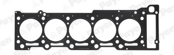 PAYEN Crankshaft seal Article number: NA5190 cheaply