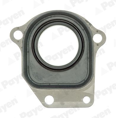 PAYEN Shaft Seal, intermediate shaft Article number: NC044 cheaply