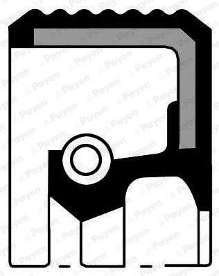 PAYEN Crankshaft seal Article number: NC065 cheaply