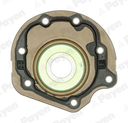 PAYEN Crankshaft seal Article number: NC086 cheaply