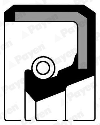 PAYEN Crankshaft seal Article number: NA784 cheaply