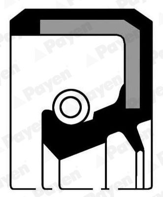 PAYEN Crankshaft seal Article number: NB690 cheaply