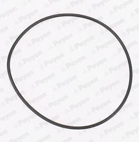 PAYEN Gasket, water pump Article number: KA845 cheaply